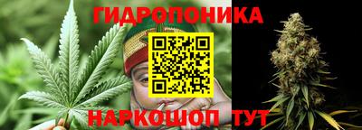 мяу мяу мука Кимры