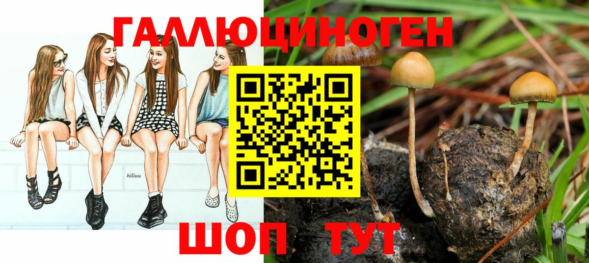 Псилоцибиновые грибы Psilocybe  Вход с VPN  купить наркотик  Корсаков 